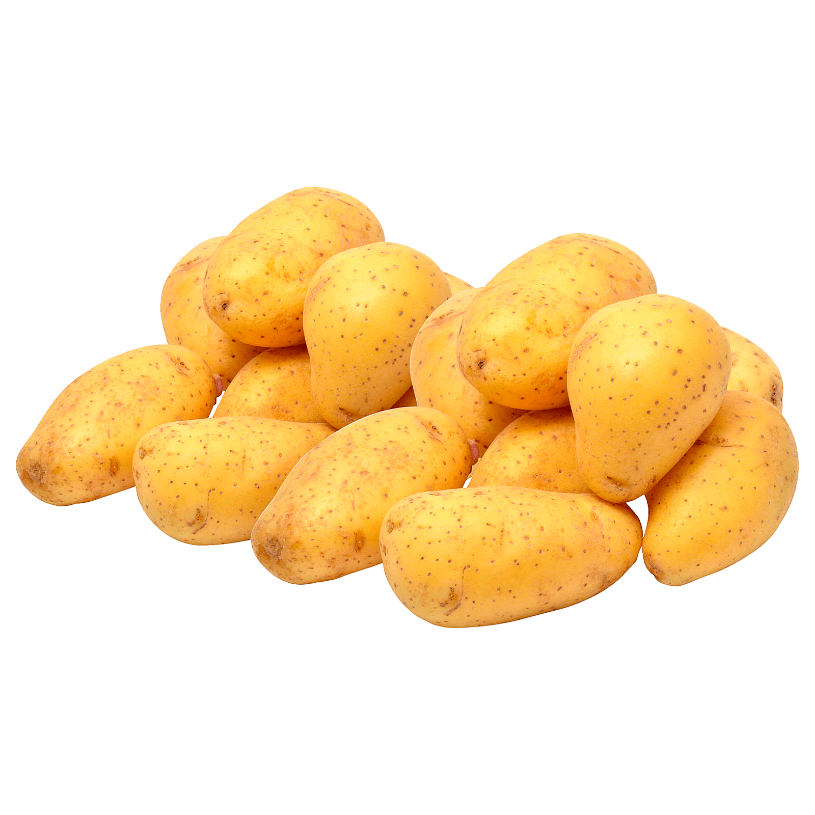 Annabelle Kartoffeln aus der Region 5kg
